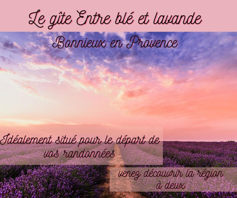 Appartement Entre blé et lavande à Bonnieux Extérieur photo